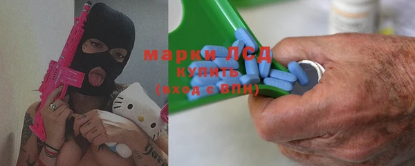 ECSTASY Ельня