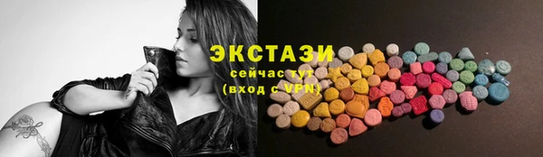ECSTASY Ельня