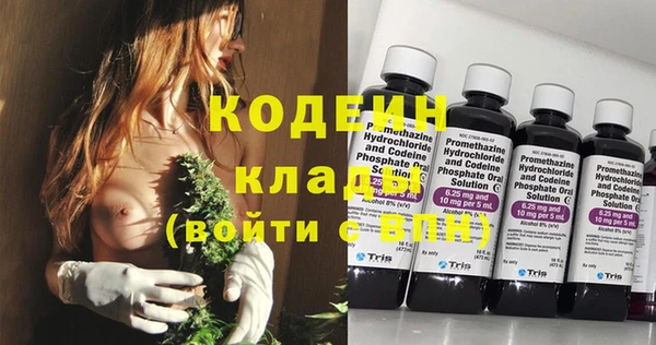 ECSTASY Ельня