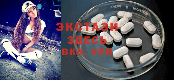 ECSTASY Ельня