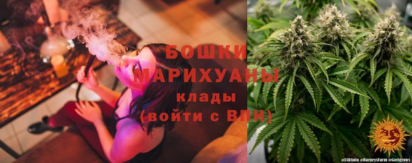 ECSTASY Ельня