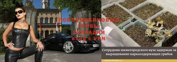 прущая мука Елизово