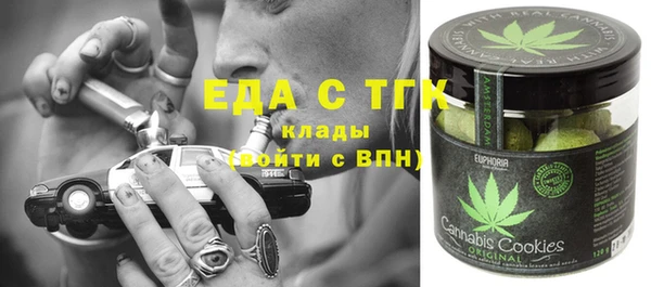 ECSTASY Ельня