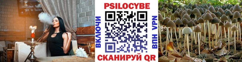 Галлюциногенные грибы GOLDEN TEACHER  сайты даркнета как зайти  Карасук 