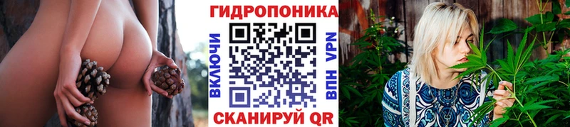 Бошки Шишки марихуана  купить закладку  Карасук 